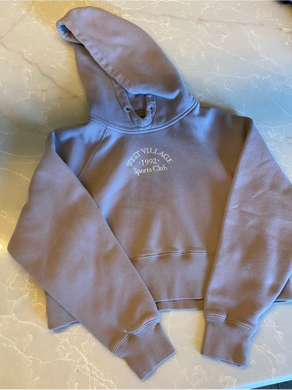 Abercrombie & Fitch Cropped West Village 1992 Hoodie